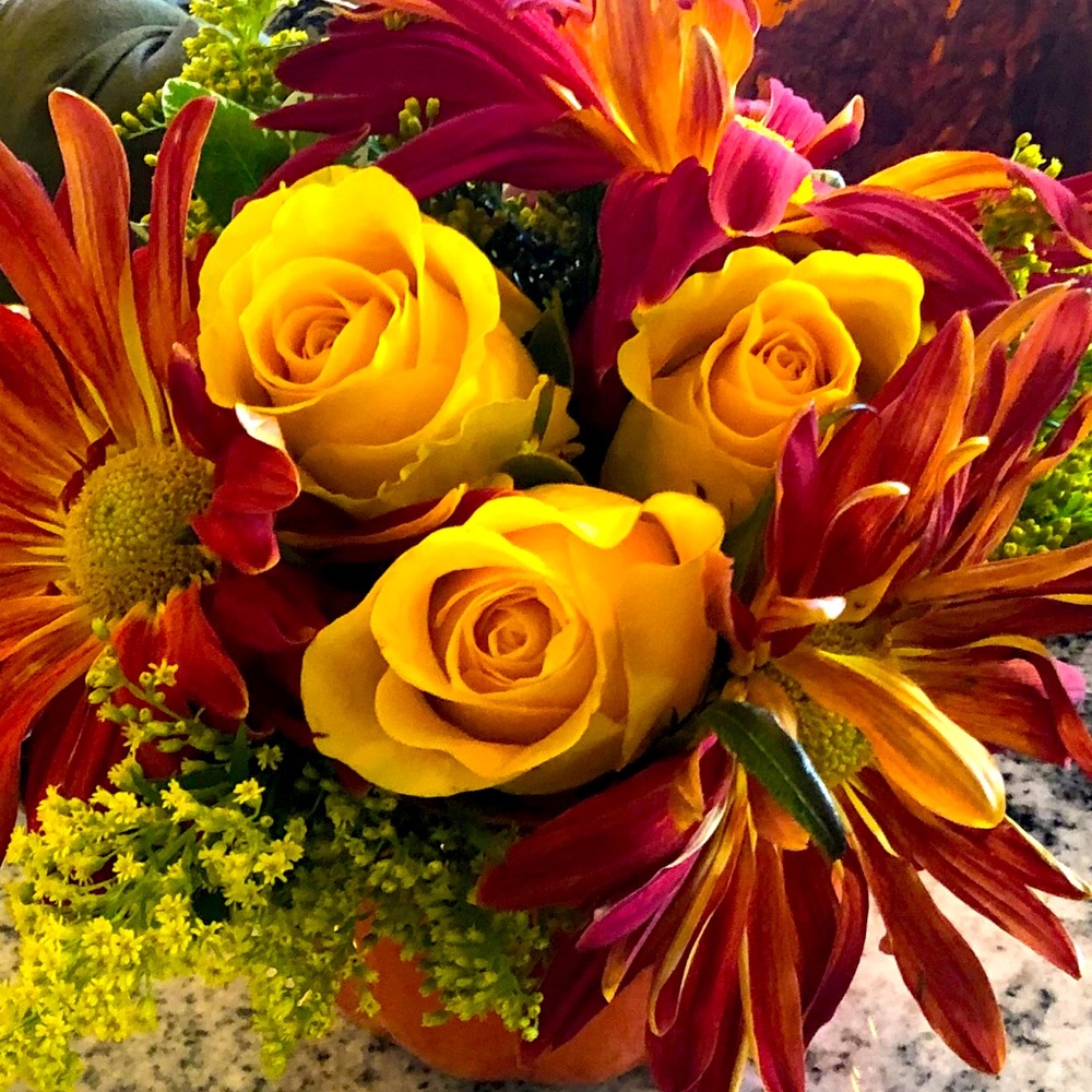 Meet your Posher, Jenna